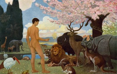 Adam donne leurs noms aux animaux - Unbekannt Unbekannt